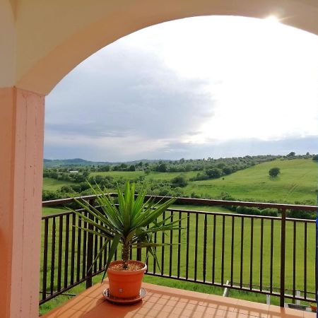 Agriturismo Podere Verdicchio Scansano Exterior photo