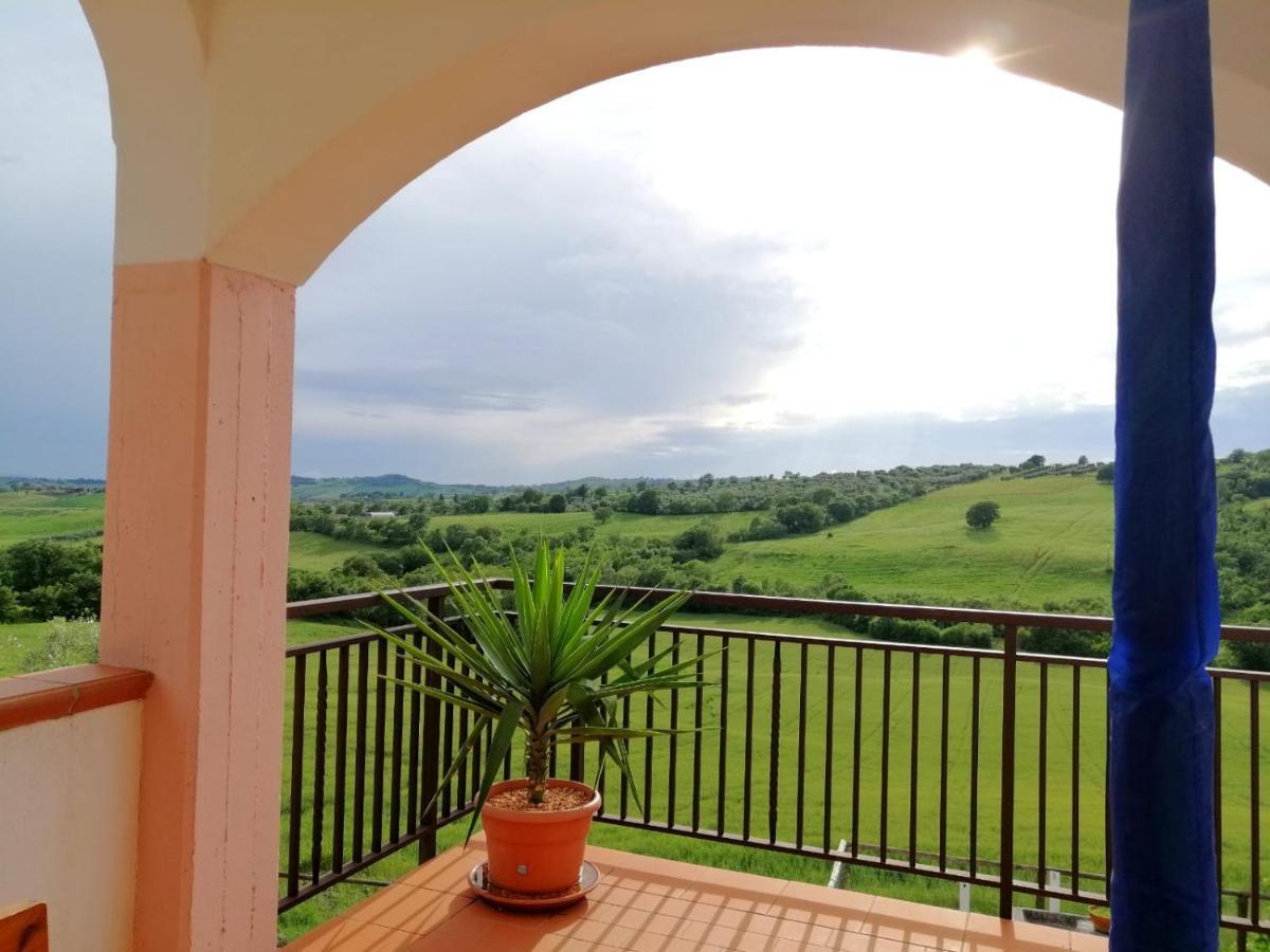 Agriturismo Podere Verdicchio Scansano Exterior photo